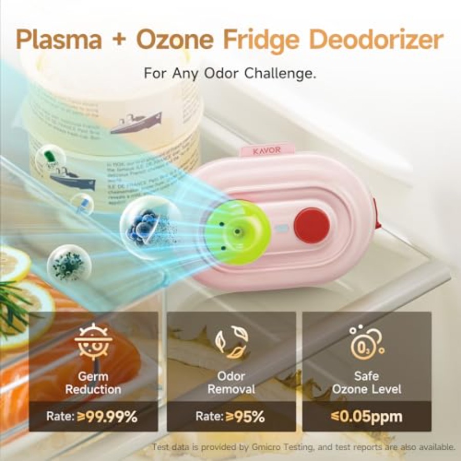 Plasma Fridge Deodorizer Ozone - Odor Eliminator Car recension och pris
