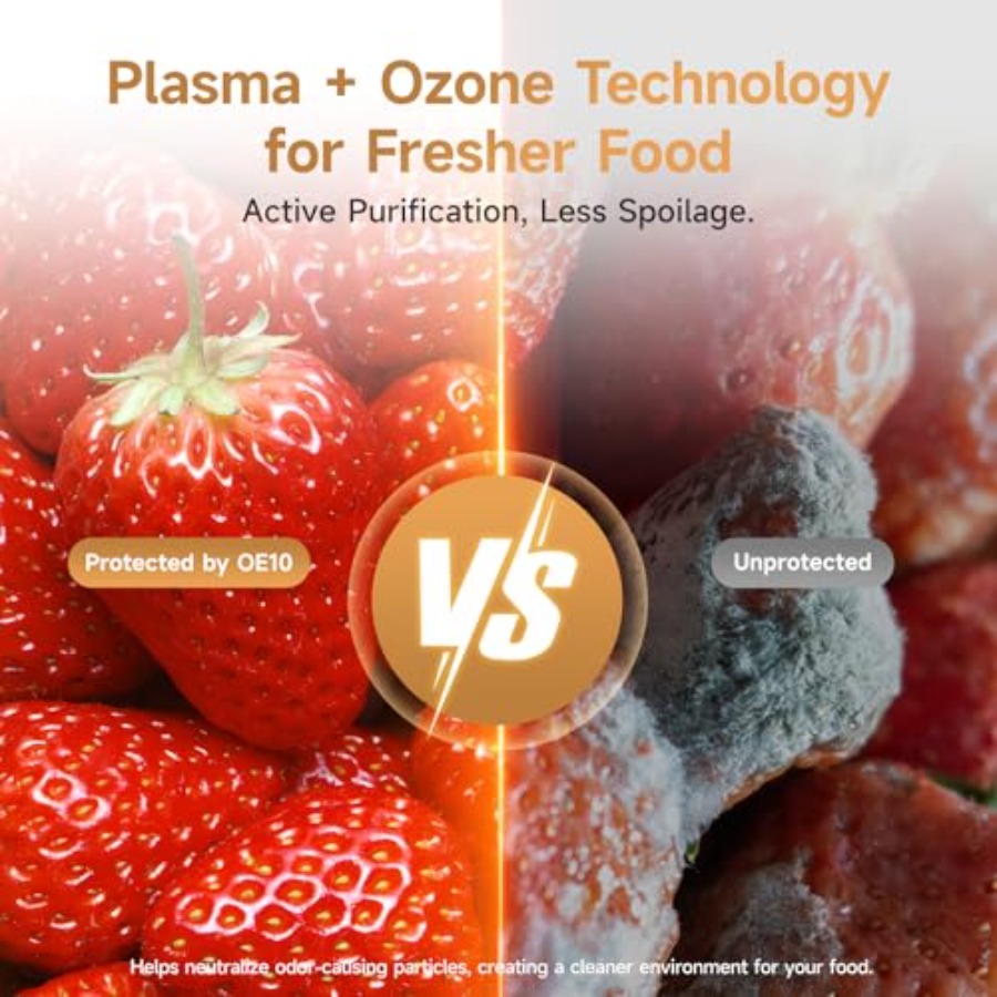 Plasma Fridge Deodorizer Ozone - Odor Eliminator Car recension och pris